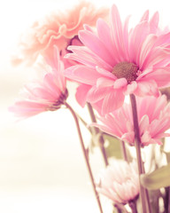 Obrazy  Delikatny bukiet kwiatowy