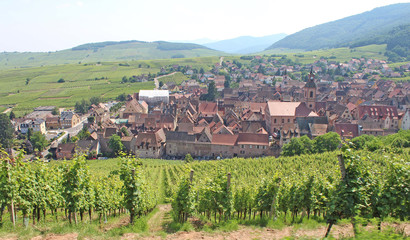Alsace Riquewhir
