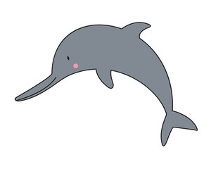 Cute dolphin