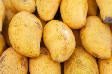 Ripe mango in the market