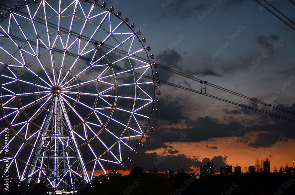 Wall mural Ferris wheel in a kasirinkai park with tokyo city in background