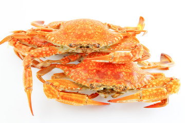 Steamed crabs