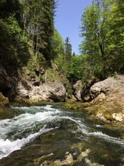 Bergbach in Schlucht