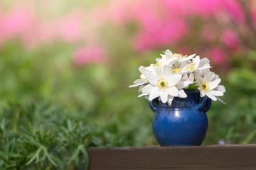 White springflower in a blue claypot
