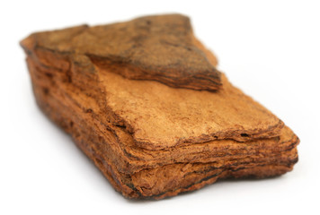 Catechu