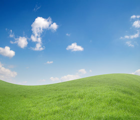 Obraz premium Landschaft / Himmel / Gras