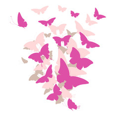 butterflies design