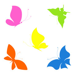 butterflies design