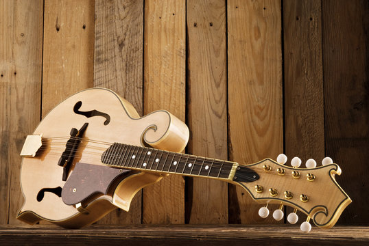 mandolin lying on wood