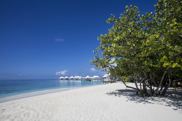 beach in the Maldives