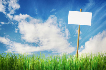 Empty nameplate on a stick at the bright green field