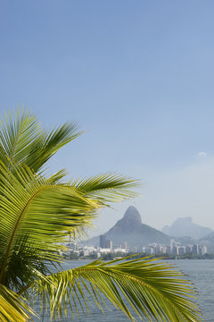 Lagoa Rio de Janeiro Brazil Scenic Skyline Palm Tree