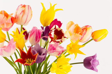 bouquet of fresh tulips - 65314181