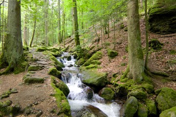Fototapeta premium Gertelbach Waterfalls