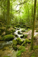 Gertelbach Waterfalls