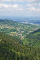 Black Forest Panorama