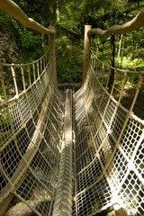 Black Forest Wooden Bridge
