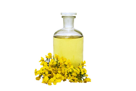glass bottle of rape seed oil with rape flowers