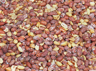 Peanuts