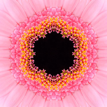 Pink Concentric Flower Center Mandala Kaleidoscope