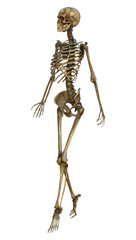 Walking Skeleton