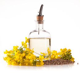 Rape oil on white background