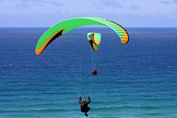 paragliders