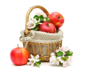 Fototapeta na wymiar ripe apples and apple flowers in a basket on a white background