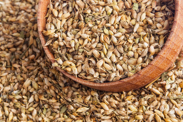 utsho suneli seeds background