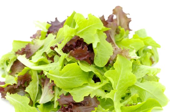 salade verte