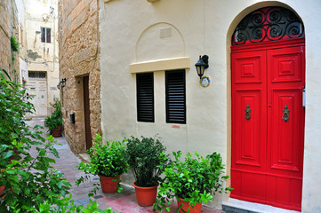 Fototapeta na wymiar Typical house and patio in Malta