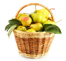 Juicy flavorful pears in basket isolated on white