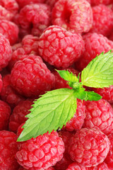 ripe raspberries background.with mint