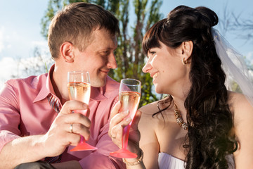 portrait of newly married couple drinking champagne at field