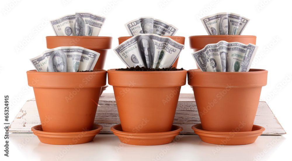 Wall mural business concept: growing money in the flowerpots, isolated