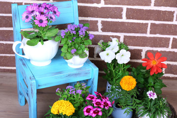 Flowers in  decorative pots on chair, on bricks background
