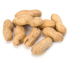 Peanut