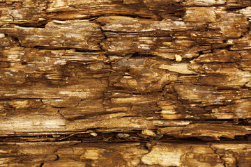 Wood plank brown texture background