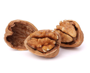 walnut