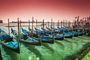 Fototapeta premium Gondole a Venezia