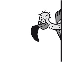 Geier Versteckt sich