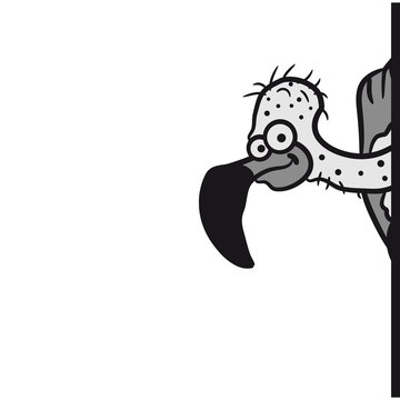 Geier Versteckt sich