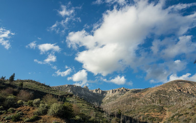 Fototapeta na wymiar mountain of sequoia national forest in CA, USA