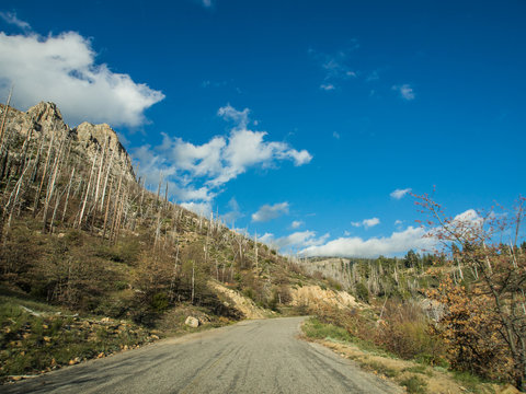 on the way on the mountain of sequoia national forest in CA, USA