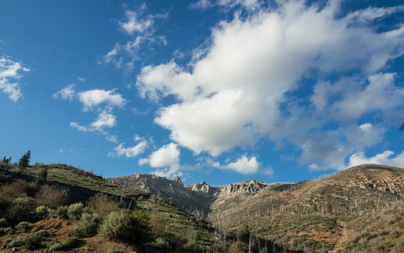 mountain of sequoia national forest in CA, USA
