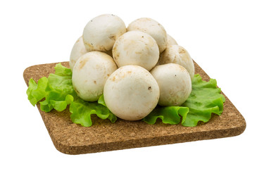 Raw Champignons