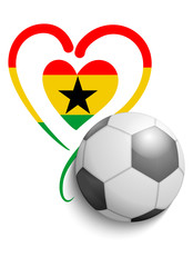 Fußball Ghana 2014