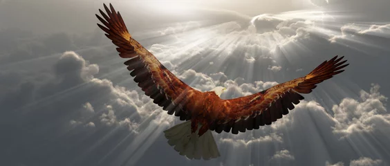 Fototapeten Adler im Flug über den Wolken © rolffimages