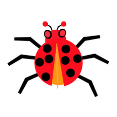 Beetles on a white background