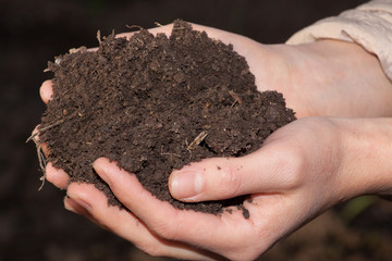hands with soil